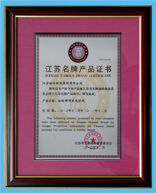 江苏省名牌产品证书(2011)